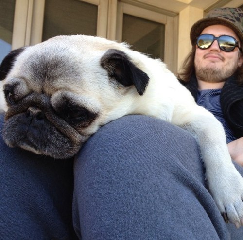 Find_The_Others's profile picture. truth seeking oxygen abuser