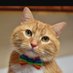 Bentley (@BentleyTheCat16) Twitter profile photo Bentley (@BentleyTheCat16) Twitter profile photo