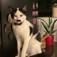 Happy🌎 (@sguevarabedoya) 's Twitter Profile