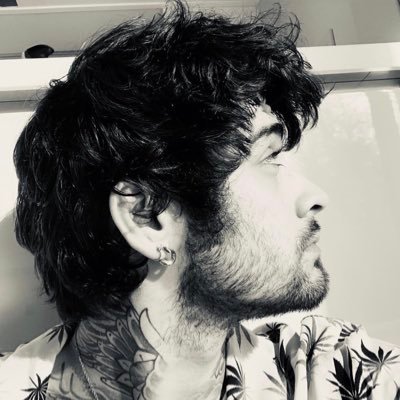 ZaynMonterrey Profile Picture