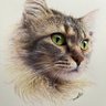 golila_gen's profile picture. 大長