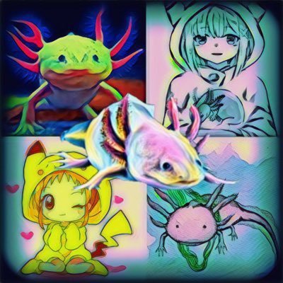 un otaco que sube información de anime y también memes, subo uno que otro spoiler así que sígueme we y si eres un SJW da media vuelta y no vuelvas aqui.