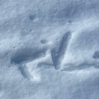 07X4rena's profile picture. 昭和生まれの涅槃像。古のヲタク。