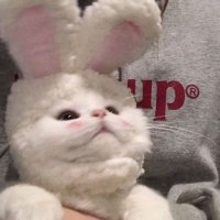 smooch (@stupidboii4) 's Twitter Profile
