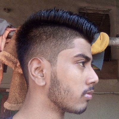 Mehedi12521252's profile picture. Joypurhat