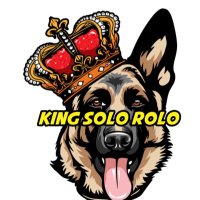 👑King Solo Rolo👑(@KingSoloRolo) 's Twitter Profile Photo