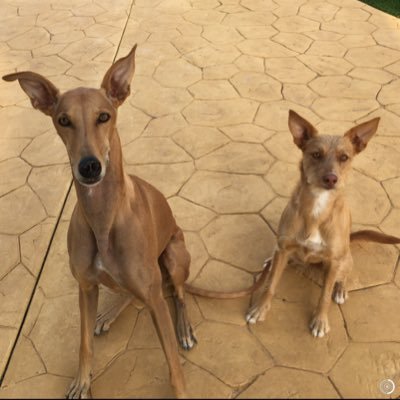 Julie81217826's profile picture. 