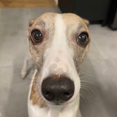 MellanThomason's profile picture. 