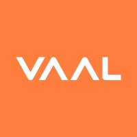 VAAL VAPOR(@VaalVapor) 's Twitter Profile Photo