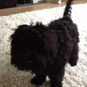 peter stokes - @peewee_44 - Twitter