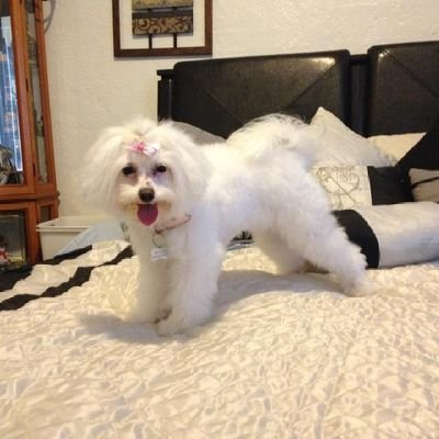 x16101988x's profile picture. 🤡🤡🤡🤡🤡🤡🤡🤡🤡🤡🤡🤡🤡🤡🤡🤡🤡🤡🤡🤡🤡🤡🤡🤡🤡🤡🤡🤡🤡🤡🤡🤡🤡🤡🤡🤡🤡🤡🤡🤡🤡🤡🤡🤡🤡🤡🤡🤡🤡🤡🤡🤡🤡🤡🤡🤡🤡🤡🤡🤡🤡🤡🤡🤡🤡🤡🤡🤡🤡🤡🤡🤡🤡🤡🤡🤡🤡🤡🤡🤡