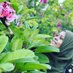 Fil33 (@ffileeshiya) Twitter profile photo Fil33 (@ffileeshiya) Twitter profile photo