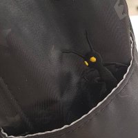 クー (@cafekure) 's Twitter Profile
