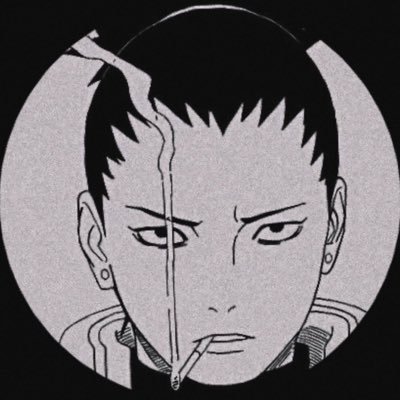 Goose_be_clutch's profile picture. amateur photographer, trying to catch something real.