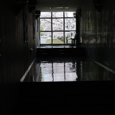 B_treefrog's profile picture. 平らすぎるところに暮らしています。植物の作る不思議なものを研究しています。趣味：ダイエット