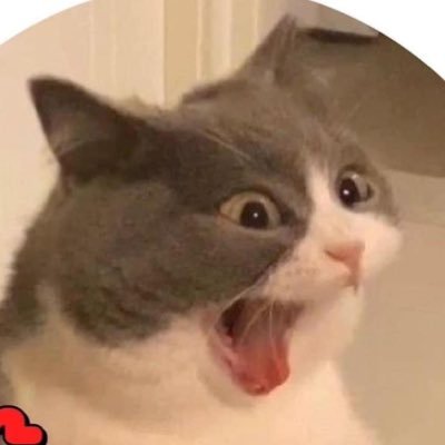 Janeny97895854's profile picture. เสื้อผ้า👚👖ร้องเท้า👟🩴มือสองราคาถูกๆค้าบ✌🏻🤩💐 ค่าส่งเสื้อผ้า เหมาๆ 35฿ รองเท้าต่อคู่ 55฿