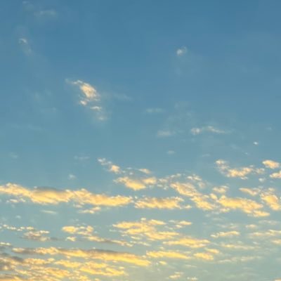 M1212121212_'s profile image