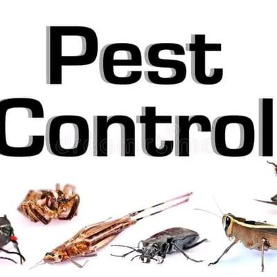 Indian Pest control service in Mumbai 
6387488967 Aman Sir