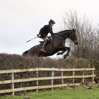 Assistant Manager at Moulton Stud. Hyburcon Bloodstock, attempting to pinhook