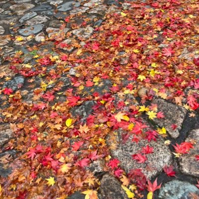 hahirunr's profile picture. スキンケア・コスメ♡