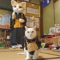 Vhon (@levhon2) 's Twitter Profile