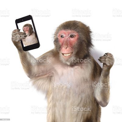 ExploitingV's profile picture. -sem bio-