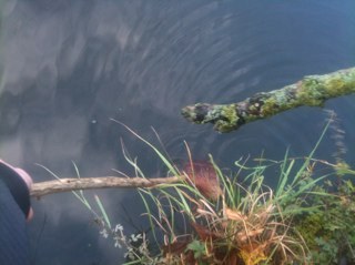 WalkWednesday's profile picture. 