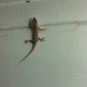 jayne lyons - @jaynelyons1 - Twitter