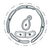 Yeast India 2023 (@yeastindia2023) 's Twitter Profile Photo Yeast India 2023 (@yeastindia2023) 's Twitter Profile Photo
