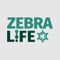 ZEBRA-LIFE (@zebralifeeu) 's Twitter Profile Photo