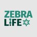 ZEBRA-LIFE (@zebralifeeu) Twitter profile photo