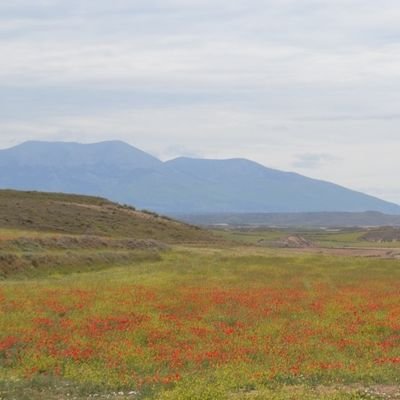 Proyecto con el fin de concienciar del enorme valor  ambiental, social y económico de la ZEC de Peñadil, Montecillo y Monterrey en Ablitas, Navarra.