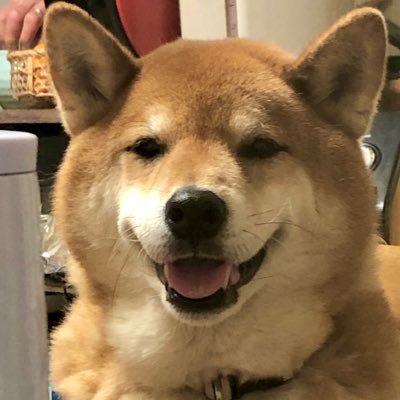 おのだめいさんのプロフィール画像