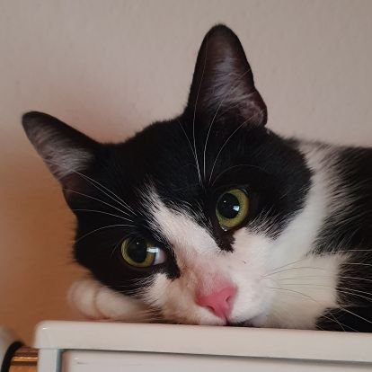 Ajjiim's profile picture. m/w/d (männlich/weiß/deutsch)                       Pronomen: I/My/Me/Mine