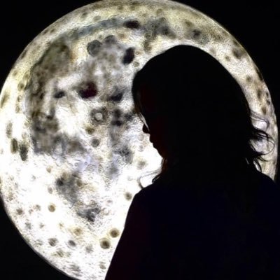 spaghestini's profile picture. more spaghetti less upsetti🍝