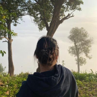 pupae159357's profile picture. 