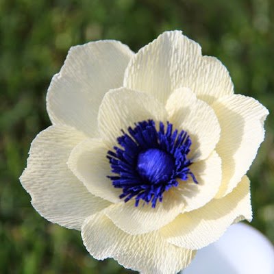 nk8744704's profile picture. 