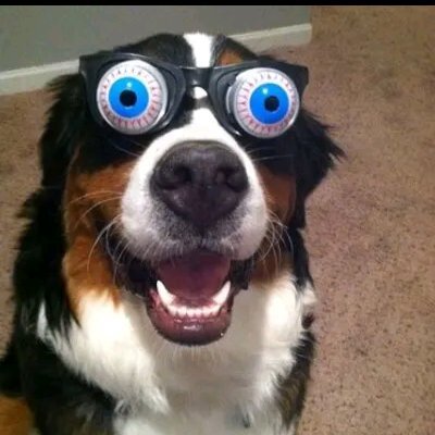 EDWINOT72187834's profile picture. Am a hard working person caring and loving