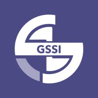 Global Security & Strategy Institute (@gssiint) 's Twitter Profile