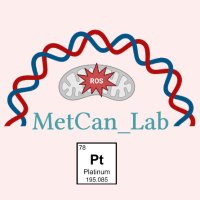 METCAN(@MetCan_Lab) 's Twitter Profile Photo