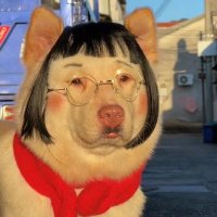 มิสเชอ sᴍɪʟᴇʏ◡̈ (@vanitcheryl) 's Twitter Profile Photo มิสเชอ sᴍɪʟᴇʏ◡̈ (@vanitcheryl) 's Twitter Profile Photo