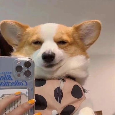 wochanninaohua's profile picture. 