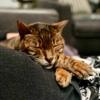 Michael Clare (@michael58878261) 's Twitter Profile