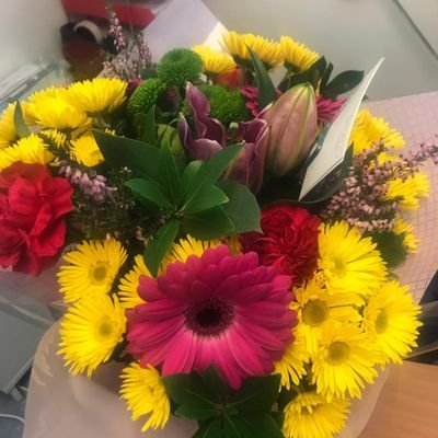 MaureenRogan96's profile picture. 