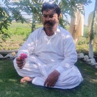 Ali m samoon (@alimuhammadsamo) 's Twitter Profile Photo Ali m samoon (@alimuhammadsamo) 's Twitter Profile Photo