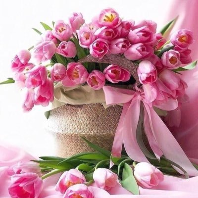 I am 74yo, married, a 2 grandmother, retired, love to read novels, watch movies, piddle at genealogy, I also enjoy reading X posts but do not post very often!