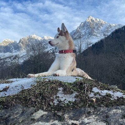 We are two best friends Sam and Jared and Jared's husky Kiba. 

We travel together across the UK and Europe and we felt it was about time we started documenting