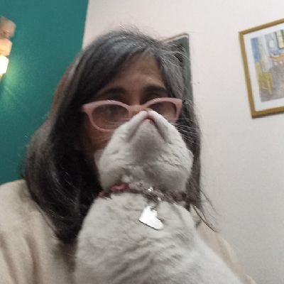 Silgatal's profile picture. Vicepresidenta de @kolinacapital