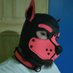 Pup Zero (@pupzero1555) Twitter profile photo Pup Zero (@pupzero1555) Twitter profile photo