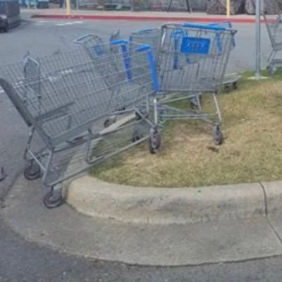 Making the world a better place, one shopping cart at a time